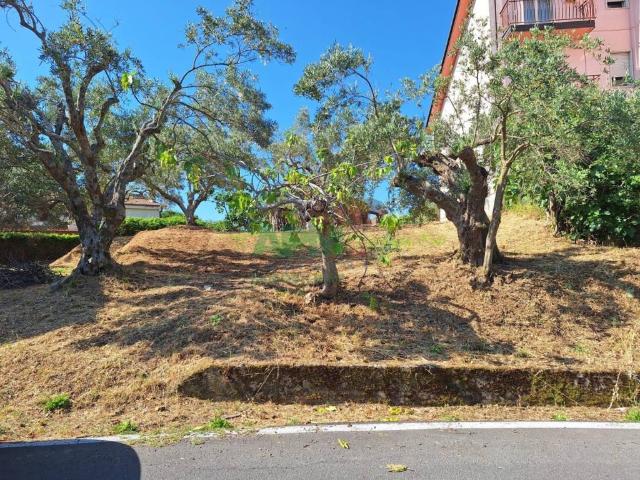 Terreno in vendita a Calabria, Cosenza