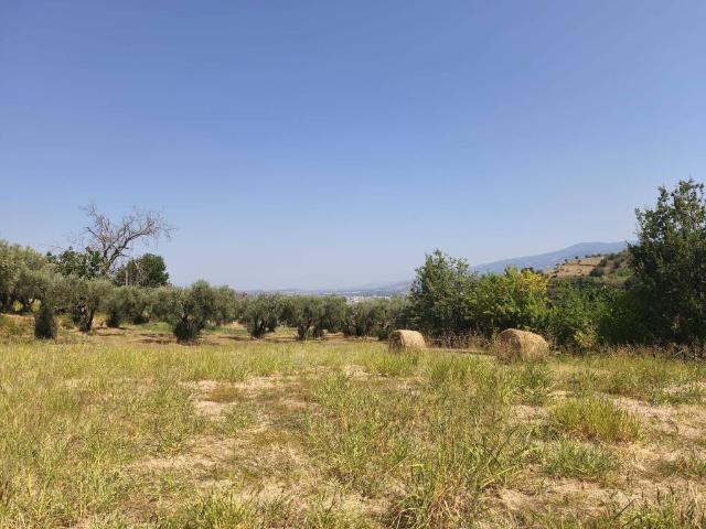 Terreno in vendita a Casali di Cosenza, Calabria