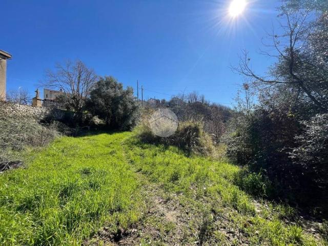 Terreno in vendita a Calabria, Cosenza