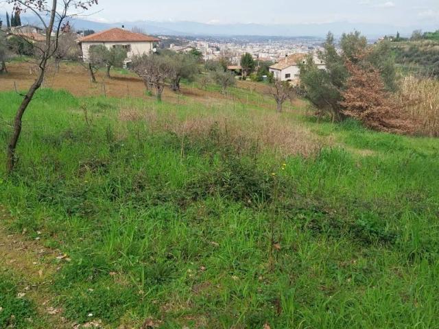 Terreno in vendita a Calabria, Cosenza
