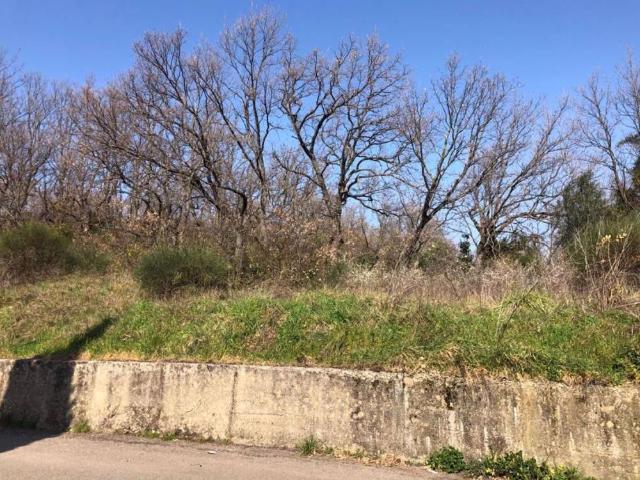 Terreno in vendita a Popilia, Cosenza