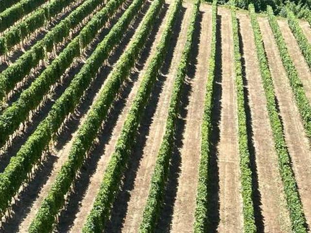 Terreno in vendita a Piemonte, Cuneo