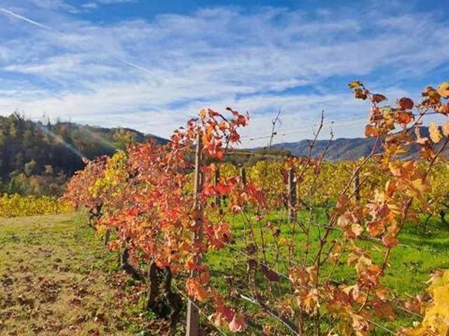 Terreno in vendita a Piemonte, Cuneo