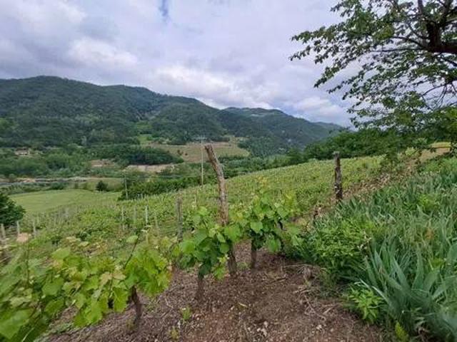 Terreno in vendita a Piemonte, Cuneo