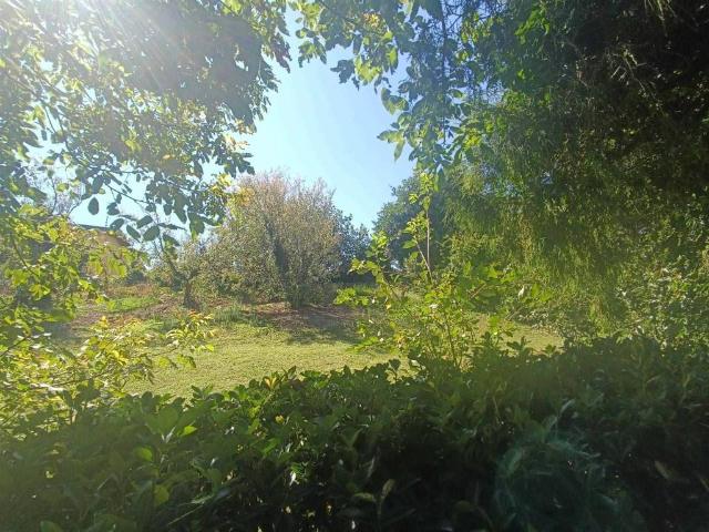 Terreno in vendita a Arale, Piemonte