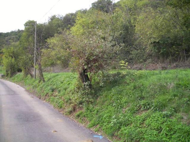 Terreno in vendita a San Zeno, Costabissara