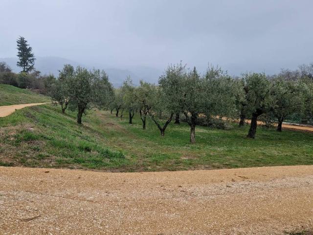 Terreno in vendita a Castion Veronese, Costermano