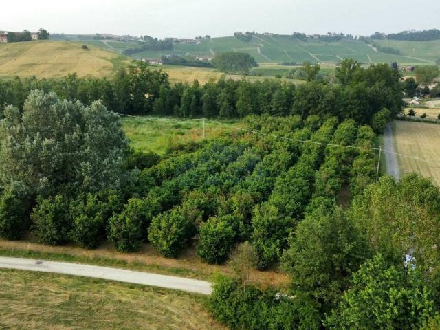 Terreno in vendita a Piemonte, Asti