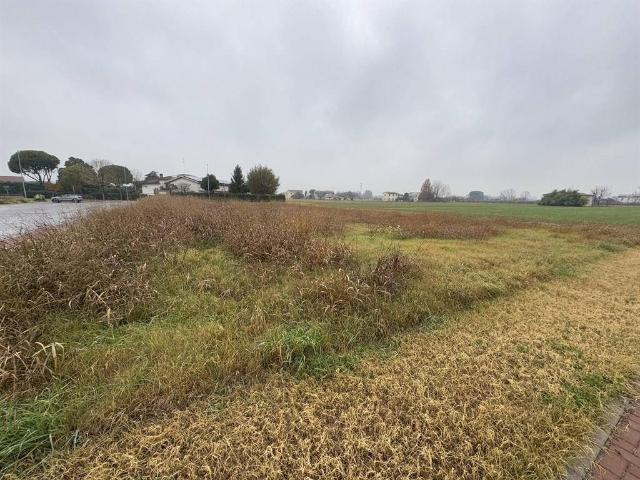 Terreno in vendita a Unione dei comuni della Bassa Romagna, Cotignola