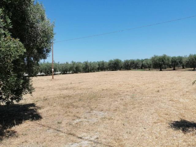 Terreno in vendita a Crecchio, Abruzzo