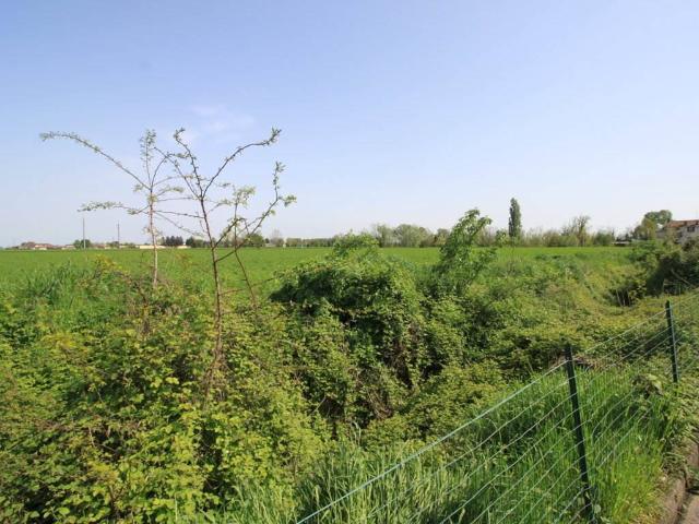 Terreno in vendita a Credera Rubbiano, Lombardia