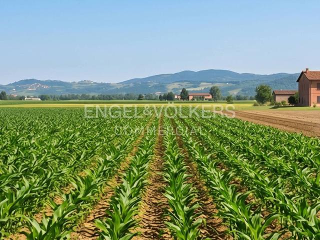 Terreno in vendita a Cremona, Lombardia