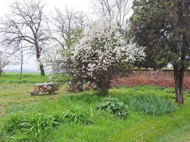 Terreno in vendita a Ca' Rotte, Cremona