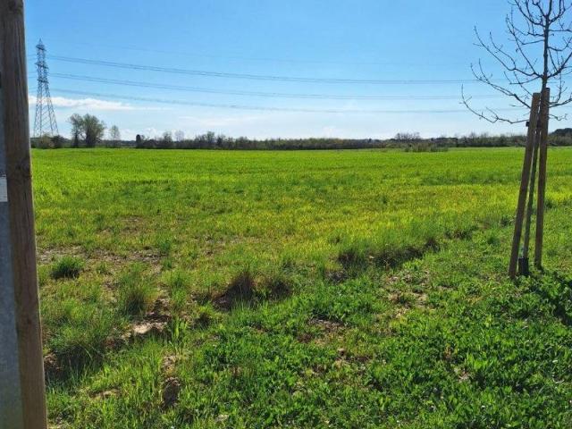 Terreno in vendita a Crespina Lorenzana, Cenaia