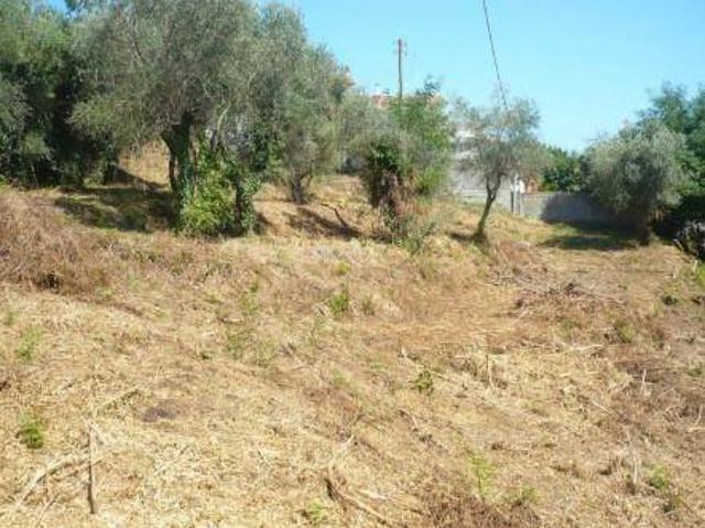 Terreno in vendita a Crespina Lorenzana, Crespina