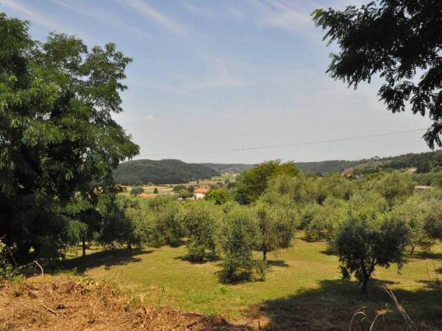 Terreno in vendita a Crespina Lorenzana, Lorenzana