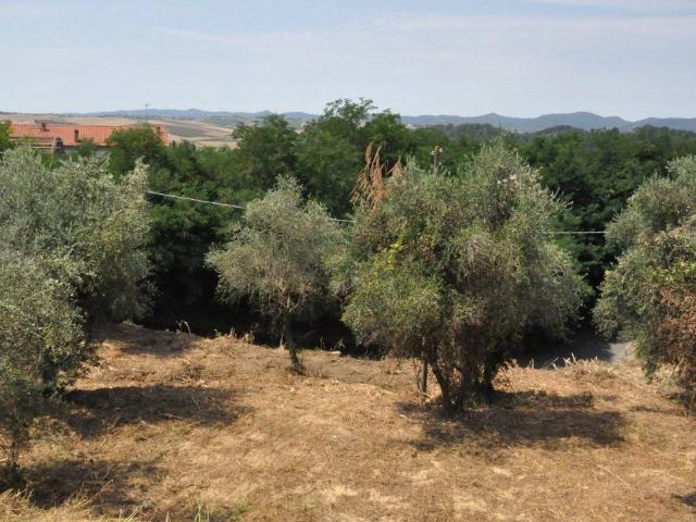 Terreno in vendita a Crespina Lorenzana, Lorenzana