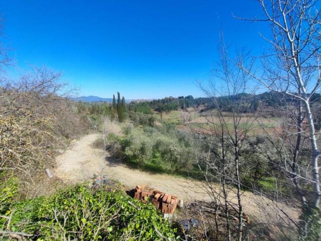 Terreno in vendita a Crespina Lorenzana, Crespina