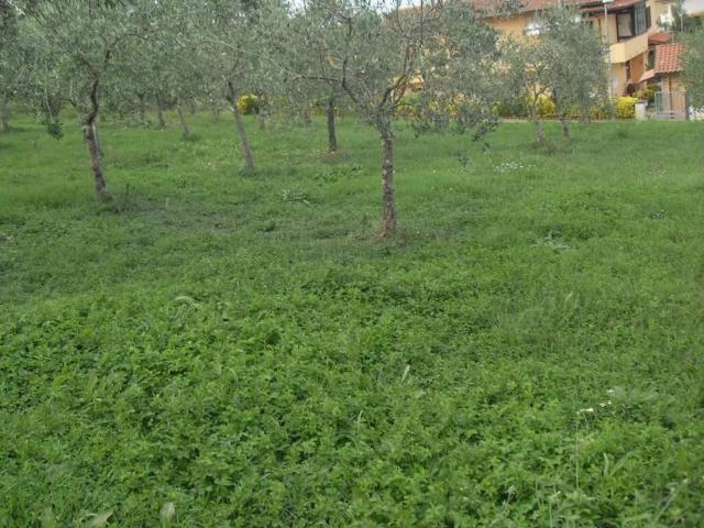 Terreno in vendita a Crespina Lorenzana, Siberia