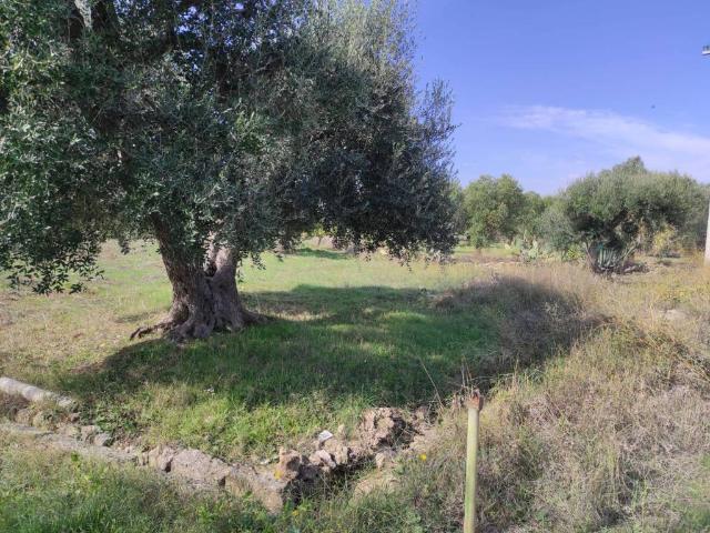 Terreno in vendita a Puglia, Taranto