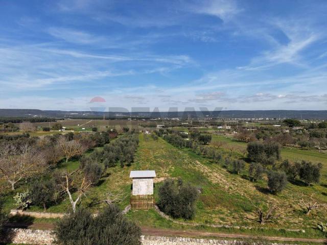 Terreno in vendita a Puglia, Taranto