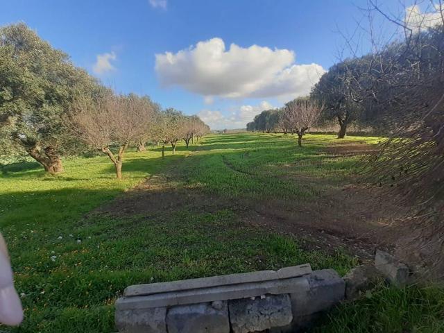 Terreno in vendita a Puglia, Taranto
