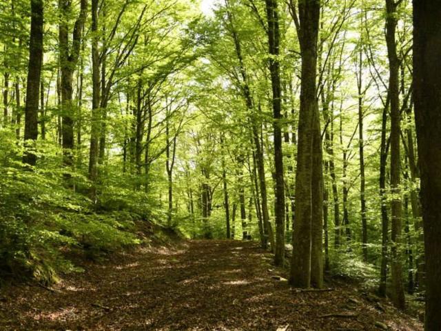 Terreno in vendita a Crocetta Del Montello, Veneto