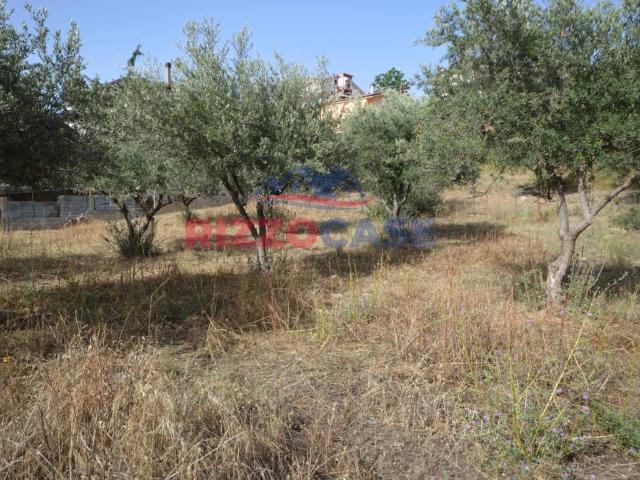 Terreno in vendita a Mirto, Calabria