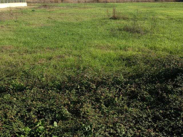 Terreno in vendita a Gabella, Calabria