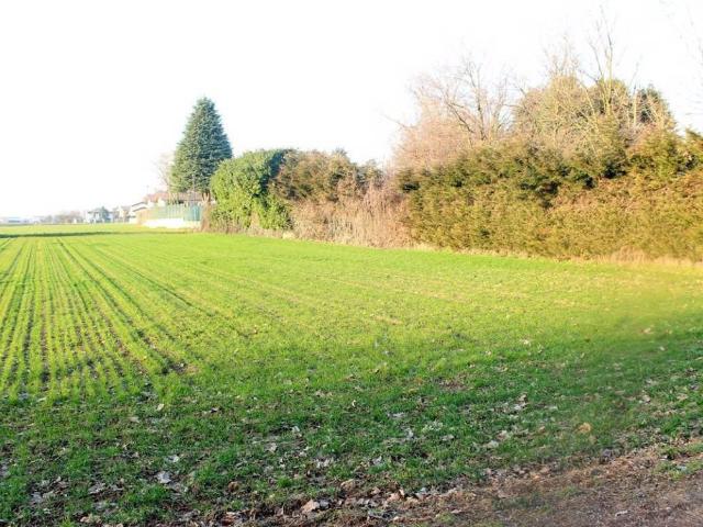 Terreno in vendita a Cuggiono, Lombardia