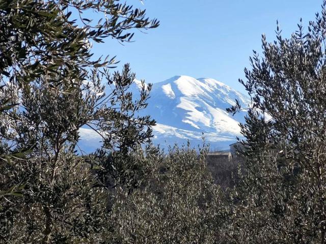Terreno in vendita a Cugnoli, Abruzzo