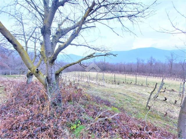Terreno in vendita a Piemonte, Torino