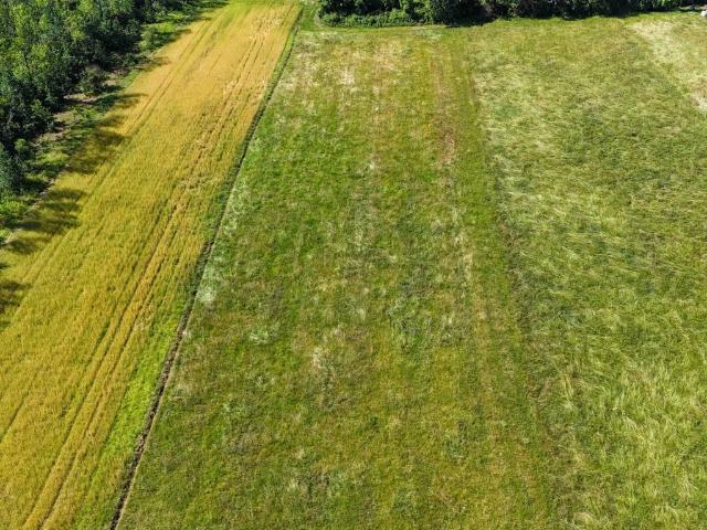 Terreno in vendita a Pieve, Piemonte