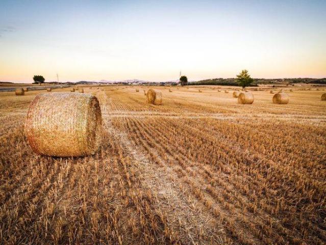Terreno in vendita a Piemonte, Cuneo