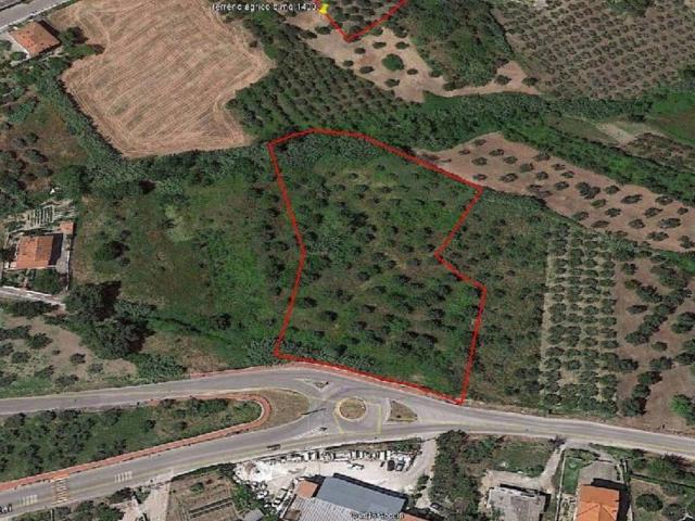Terreno in vendita a Cupello, Abruzzo