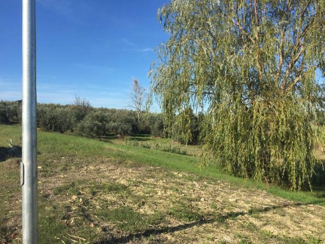 Terreno in vendita a Cupello, Abruzzo