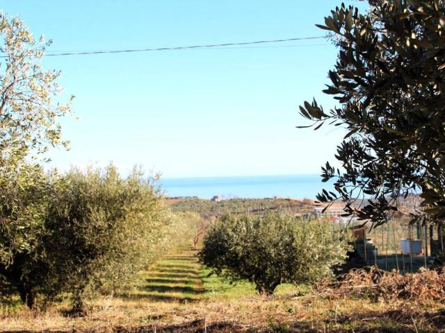 Terreno in vendita a Cupello, Abruzzo
