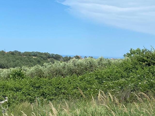 Terreno in vendita a Cupello, Abruzzo