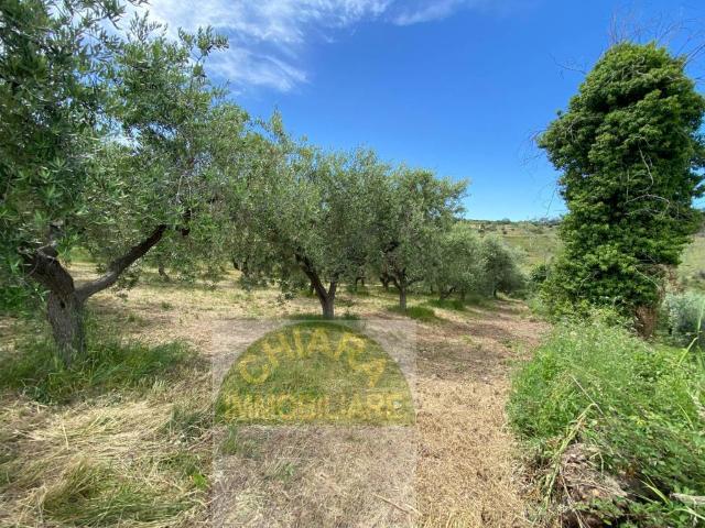 Terreno in vendita a Cupello, Abruzzo