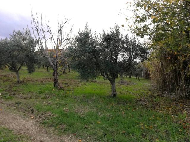 Terreno in vendita a Cupello, Abruzzo