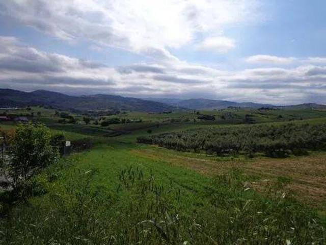 Terreno in vendita a Cupello, Abruzzo