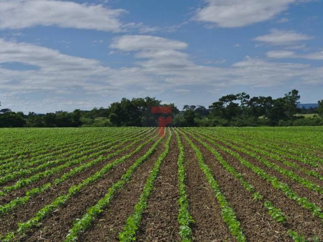 Terreno in vendita a Curtarolo, Veneto