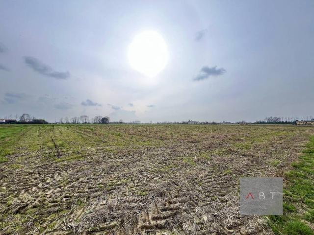 Terreno in vendita a Curtarolo, Veneto