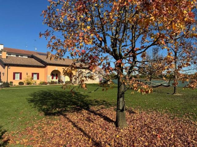 Terreno in vendita a Curtarolo, Veneto
