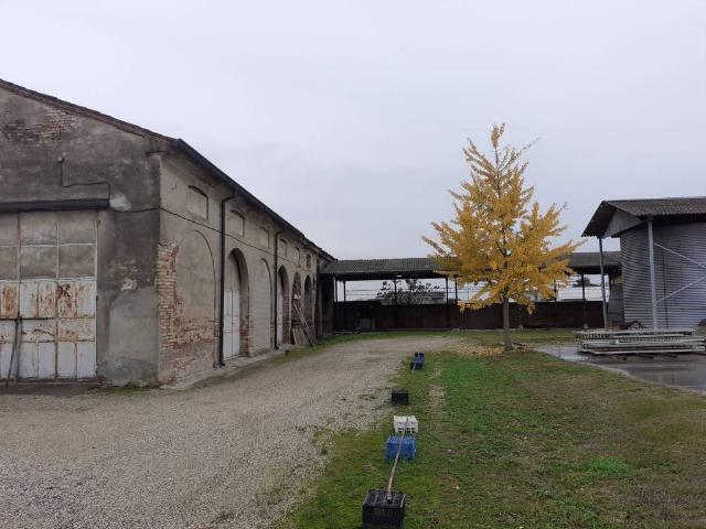 Terreno in vendita a Serraglio, Curtatone