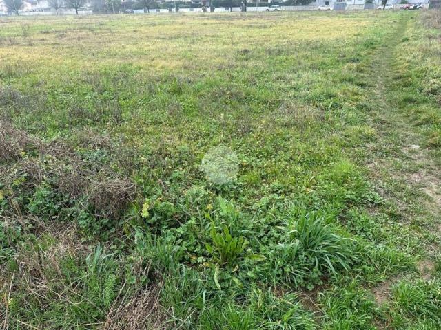 Terreno in vendita a Levata, Curtatone