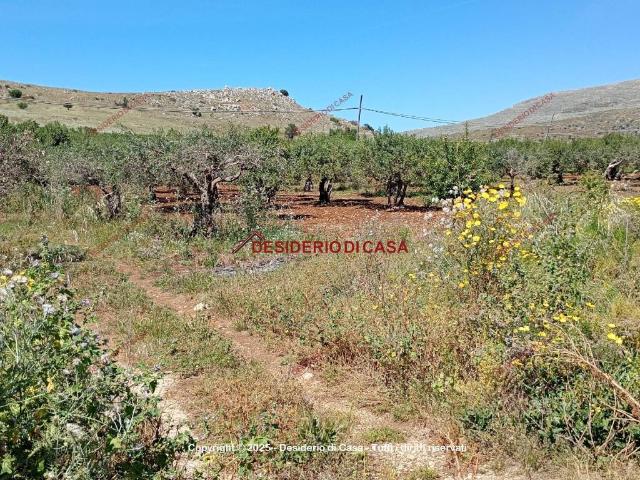 Terreno in vendita a Custonaci, Sicilia