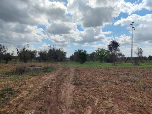 Terreno in vendita a Puglia, Lecce