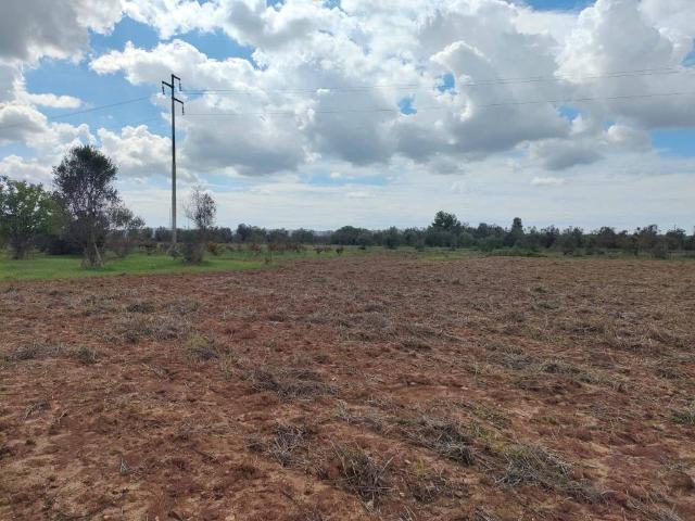 Terreno in vendita a Puglia, Lecce