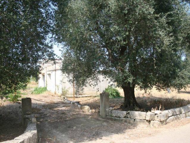 Terreno in vendita a Puglia, Lecce